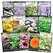 Sow Right Seeds - Large Medicinal Herb Seed Collection for Planting - Lemon Balm, Lavender, Yarrow, Echinacea, Anise, Lovage, Chamomile, Calendula, Bergamot & More - Non-GMO Heirloom new 2024