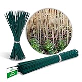 Foto Novatool 100 varillas de madera de bambú, 70 cm x 6 mm, color verde, para plantas, mejor precio 19,95 €, éxito de ventas 2024