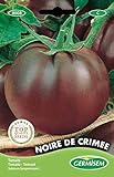 Foto Germisem Noire de Crimée Tomate 20 Semillas (EC8008), mejor precio 2,45 €, éxito de ventas 2024