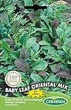Foto Germisem Baby Leaf Oriental Mix Semillas de Lechuga 2 g, EC6025, mejor precio 2,21 €, éxito de ventas 2024