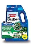 Photo BioAdvanced 701910A 12-Month Tree and Shrub Protect and Feed Insect Killer and Fertilizer, 10-Pound, Granules, best price $54.48, bestseller 2024