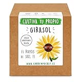 Foto Garden Pocket - Kit Cultivo Girasol, mejor precio 8,90 €, éxito de ventas 2024