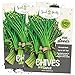 Seed Needs, Garlic Chives Herb (Allium tuberosum) Twin Pack of 400 Seeds Each Non-GMO new 2024