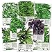 Basil Seed Packet Collection (8 Individual Seed Packets) Non-GMO Seeds by Seed Needs new 2024