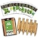 Herb Garden Seeds for Planting - 10 Culinary Herb Seed Packets Kit, Non GMO Heirloom Seeds, Plant Markers, Wood Gift Box - Home Gardening Gifts for Gardeners new 2024