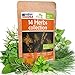 14 Culinary Herb Seeds Pack - Heirloom and Non GMO, Grown in USA - Indoor or Outdoor Garden - Basil, Parsley, Dill, Cilantro, Rosemary, Mint, Thyme, Oregano, Tarragon, Chives, Sage & More new 2024