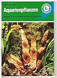 Foto Aquarienpflanzen, bester Preis 0,40 €, Bestseller 2024