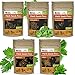 Parsley, Basil, Cilantro, Oregano, Chives - 5 Culinary Herb Seeds Pack - Heirloom and Non GMO, Grown in USA - Indoor or Outdoor Garden new 2024
