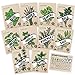 Culinary Herb Seeds 10 Pack – Over 4000 Seeds! 100% Non GMO Heirloom - Basil, Cilantro, Parsley, Chives, Thyme, Oregano, Dill, Rosemary, Sage Rosemary for Planting for Outdoor or Indoor Herb Garden new 2024