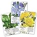 Seed Needs, Dandelion Seed Collection (3 Individual Packets) Non-GMO new 2024