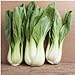 Pacchetto di 300 semi, Pak Choi bianco Stem Semenza di cavolo (Brassica rapa) nuovo 2024