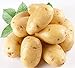 PlenTree 120 pezzi di patate Semi Antirughe nutrizione verde vegetale per il giardino domestico che pianta i semi di patate assorbendo la radiazione nuovo 2024