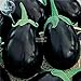 Visa Store 2018 vendita calda Davitu melanzane nero grandi semi di ortaggi, 100 semi, organici gustosi per la casa giardino E4327I nuovo 2024