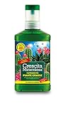 foto Crescita Miracolosa C025001 Nutrimento Cactus, 200 ml, Verde, 7.5x3.5x18 cm, miglior prezzo EUR 5,30, bestseller 2024