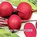 Pinkdose 8 grammi di barbabietola rossa, verdura, cortile balcone in vaso giardino di casa spedizione gratuita nuovo 2024