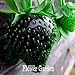 Nuovi semi dolce 100 Semi / Seeds Semi Borsa frutta nera fragola Bonsai Piante per la casa e giardino vaso da giardino fragole, # JQPRZP nuovo 2024