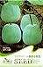 Farmerly 5pack Ogni confezione 10 + inverno semi di melone Benincasa hispida cera zucca bianca della zucca Seeds C001 nuovo 2024