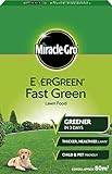 foto EverGreen estremo prato verde scatola di fertilizzante 80 m², miglior prezzo EUR 20,10, bestseller 2024