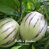 foto Semi 20pcs Pepino Semi pepino melone pera giardino domestico di DIY BonsaïPianta, miglior prezzo EUR 10,99, bestseller 2024