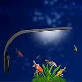 foto Luce LED acquario UEETEK Lampada clip per acquario luminoso con luce bianca, miglior prezzo EUR 12,99, bestseller 2024