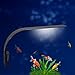 Luce LED acquario UEETEK Lampada clip per acquario luminoso con luce bianca nuovo 2024