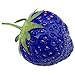 Rosepoem 100PCS Natural Organic Blue Strawberry Antiossidante Semi Pianta di piante rare e giardino bonsai nuovo 2024