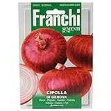 foto franchi cipolla rossa di Genova, miglior prezzo EUR 2,61, bestseller 2024