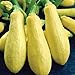 Precoce maturazione lunga bianca Melanzana F1 Vegetable Seeds, pacchetto all'ingrosso, 200 semi, Nizza KK179 pelle nuovo 2024