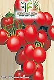 foto 520 C.ca Semi Pomodoro A Grappoli D'Inverno Sel - Galatino - Solanum Lycopersicum In Confezione Originale Prodotto in Italia - Pomodori, miglior prezzo EUR 7,40, bestseller 2024