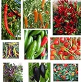 foto Collezione di semi di peperoncino - 10 confezioni, 10 varietà, 100 semi., miglior prezzo EUR 20,00, bestseller 2024