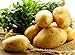 Bloom Green Co. 100pcs Giant & amp; I semi di patate viola anti-rughe Nutrizione verde vegetale per il giardino domestico di semina di piante di patate giardino rare: 7 nuovo 2024