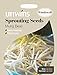 Unwins Pictorial pacco – germinazione semi di fagioli – 600 semi nuovo 2024