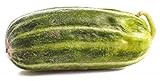 foto Mini Cetriolo melone 'Carosello Scopatizzo Barese' - 10 Semi, miglior prezzo EUR 4,50, bestseller 2024