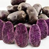 foto Go Garden 100 Pz viola semi di patata viola patata dolce nutrizione delizioso verdi, miglior prezzo , bestseller 2024