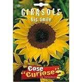 foto Semi - Girasole Big Smile, miglior prezzo EUR 6,35, bestseller 2024