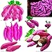 Pinkdose Giallo piante di patate dolci piante da giardino Bonsai Jicama/dolci frutta e verdura piante di patate per 20 Pz imballaggio di trasporto: viola nuovo 2024