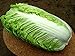 PLAT firm-semi di ortaggi Semi Cavolo cinese Giant China Heirloom NON-OGM nuovo 2024