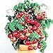 PLAT FIRM Germinazione dei semi PLATFIRM-50pcs cetriolo Semi all'ingrosso giapponese semi di cetriolo verdure e semi di frutta Per la casa vaso da giardino facile da coltivare cibo sano Cetr nuovo 2024