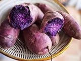 foto Shoopy Star 200 pezzi semi di patate dolci viola semi di yam semi di giardino e semi di ortaggi, miglior prezzo , bestseller 2024