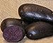 Sycamore Trading Semi di patata viola per 10 tuberi Varietà di patata precoce viola con buccia liscia blu scuro o viola e polpa di colore blu intenso. nuovo 2024