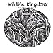 Wildlife Kingdom - Semi di girasole striati di alta qualità, adatti come cibo per i pappagalli parrocchetto, mangime energetico per uccelli selvatici✔ nuovo 2024