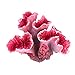 UEETEK Coralli rosa per decorazione acquario nuovo 2024