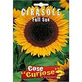 foto Semi - Girasole Full Sun, miglior prezzo EUR 6,35, bestseller 2024