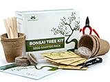 foto Kit albero bonsai, cresci il tuo albero bonsai a partire dal seme – Il set regalo include 5 varietà di alberi da piantare – Coltivazione al chiuso con istruzioni dettagliate, miglior prezzo EUR 19,90, bestseller 2024
