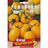 foto Semi - Pomodoro ciliegino giallo - Cherry yellow, miglior prezzo EUR 6,35, bestseller 2024