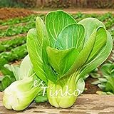 foto 200pcs Shanghai Verde Pak Choi Semi pakchoi cavolo Brassica Campestris Vegetable Seeds giardino domestico di DIY pianta, miglior prezzo EUR 10,99, bestseller 2024
