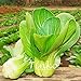 200pcs Shanghai Verde Pak Choi Semi pakchoi cavolo Brassica Campestris Vegetable Seeds giardino domestico di DIY pianta nuovo 2024
