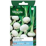 foto Vilmorin - Bustina semi Cipolle bianco presto de Paris, miglior prezzo , bestseller 2024