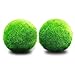 SINOTECHQIN 1PCS Muschio Piante acquatiche Live Semi di Erba Acqua Moss Ball Live Acquario pianta Ornamento Paesaggio nuovo 2024