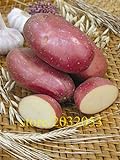 foto Pinkdose semi bonsai patata rossa di patate pelle 200 Empress Semi di ortaggi provenienti dalla Cina NO-OGM per la casa orto, miglior prezzo , bestseller 2024